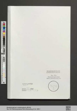 Bielschowsky, Max