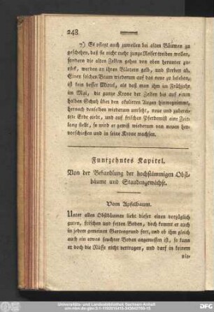 Funfzehntes Kapitel. Von der Behandlung der hochstämmigen Obstbäume und Staudengewächse.