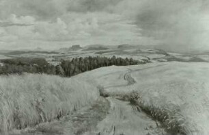 Blick vom Borsberg nach dem Elbsandsteingebirge