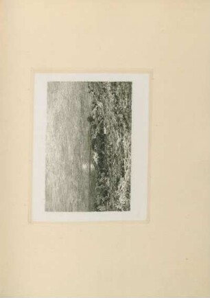 Tafel: Landschaft bei Mönchgut auf Rügen