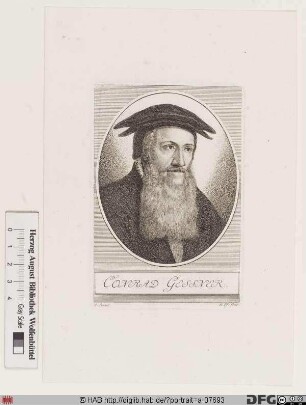 Bildnis Conrad Gesner