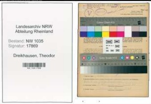 Entnazifizierung Theodor Dreikhausen , geb. 08.09.1908 (Steiger)