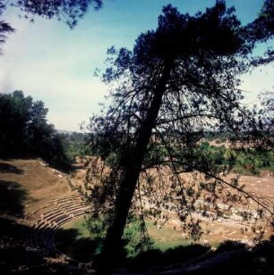 Theater (Ruine), Megalopolis : Megalopolis. Blick aus dem antiken Theater auf die Ebene am Alfios-Fluss