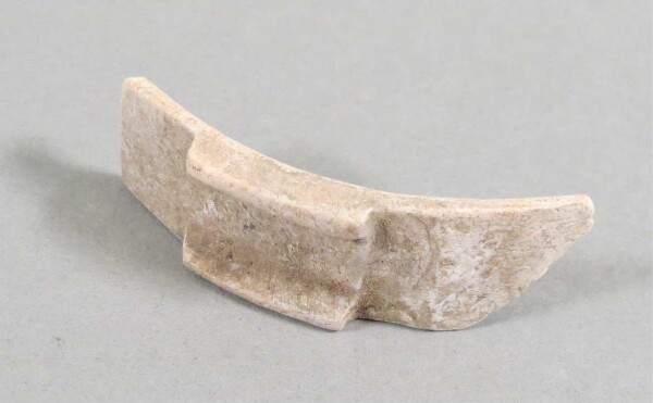 Fragment of a shell arm ring