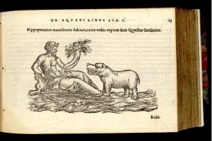 Hippopotamus numismatis Adriani, cuius nobis copiam fecit Quaestor Grollerius
