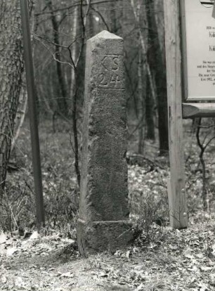 Grenzsäule : Grenzsäule (Grenzfestlegung gemäß Wiener Kongreß). Stein (1818). Sächsische Seite (bezeichnet KS 24). Schildau (Kreis Torgau), am Schildberg