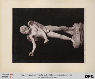 No. 1727. Amore di Prassitele Vaticano, Roma