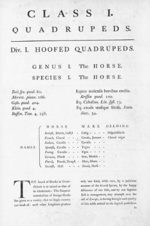 Div. I. Hoofes Quadrupeds