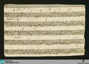 Salve regina - Don Mus.Ms. 2310 : V (X), orch, bc; G