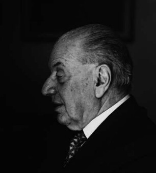 Bruno Visentini : Porträt Bruno Visentini