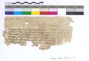 Pentateuch Genesis V, 3 - 7