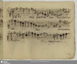 [Anonymus:] Victimae paschali laudes