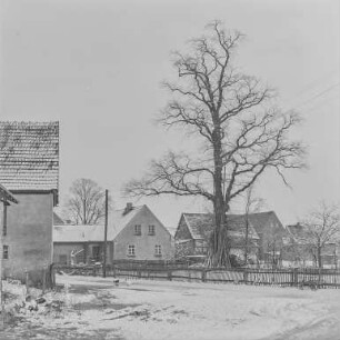 Kreckwitz, Dorf und Berge : Kreckwitz. Ortsteilansicht. Winteraufnahme