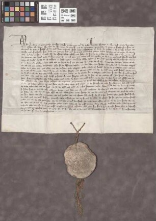 Friedberg: Entscheid Kaiser Ludwigs IV. der Burg und der Stadt Friedberg Irrungen, und verspricht unter anderem der Kaiser St. Katharinenkapellen ...