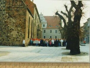 Fotografie, Sommerfeld (Lubsko)