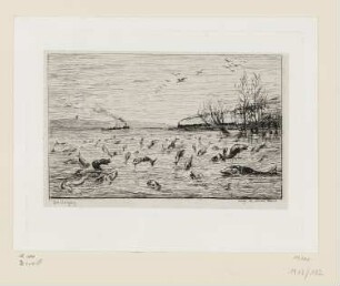 Fische, Blatt 15 der Folge "Album du voyage en bâteau"