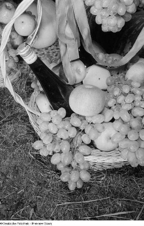 Trauben und Wein der bulgarischen Sektion auf der Leipziger Herbstmesse 1954