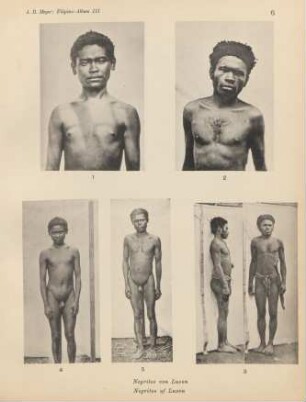 6. Negritos von Luzon = Negritos of Luzon