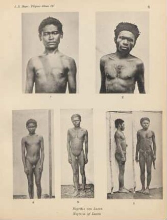 6. Negritos von Luzon = Negritos of Luzon