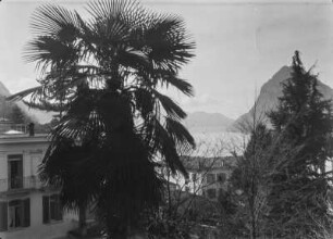 In Lugano : Blick von Lugano auf den See mit dem Monte San Salvatore