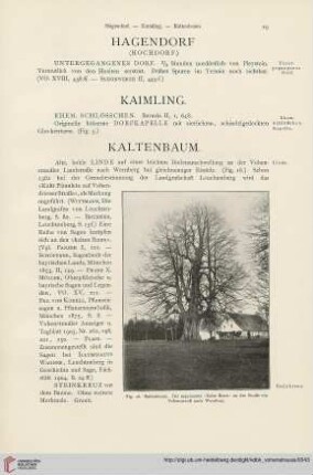 ⟦Kaimling⟧