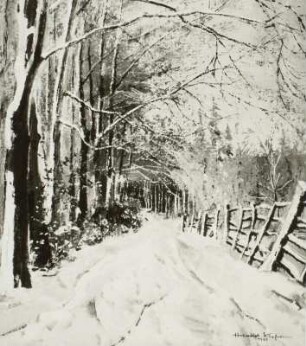 Waldweg