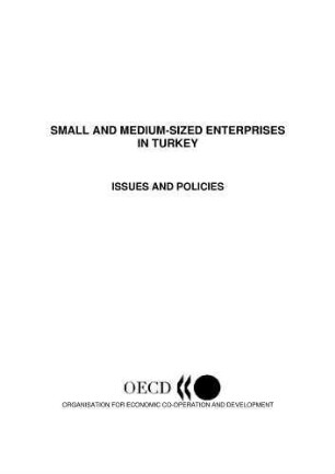 Small and Medium Enterprises in Turkey: Issues and Policies