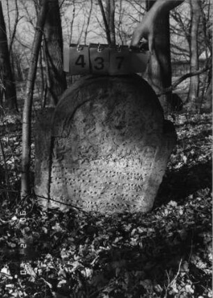 Grabstein 437