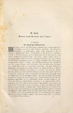 Thiere der Heimath : Deutschlands Säugethiere und Vögel, 2. Buch