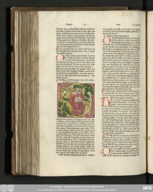 [David in dem Psalter]