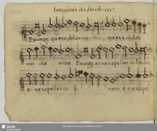 [Figulus, Wolfgang:] Missa super Da Jacob