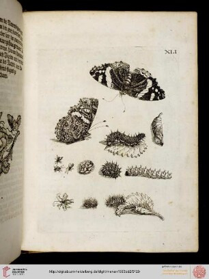 Tafeln und Text 41-50