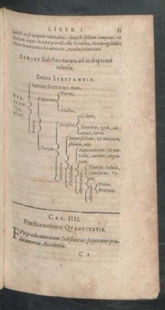 Cap. IIII. Praedicamentum Quantitatis