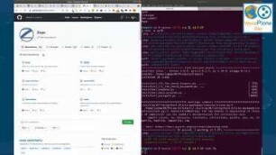 Testing the tox4 Pre-Release at Plone-/Zope-Scale