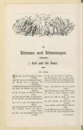 IX. Stimmen und Stimmungen
