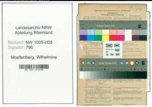 Entnazifizierung Wilhelmine Moellenberg , geb. 18.11.1906 (Aushilfsangestellte)