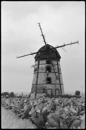 Huy-Pabstorf. Turmholländer (1980 gesprengt)