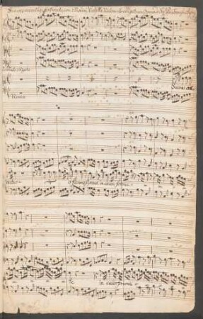 Suaves accentus; S, orch, org; C-Dur