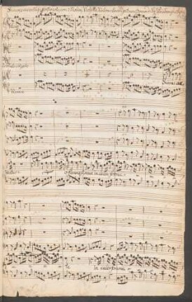 Suaves accentus; S, orch, org; C-Dur