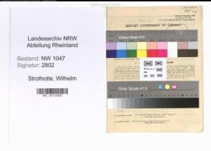Entnazifizierung Wilhelm Strothotte , geb. 03.08.1899 (Lehrer)