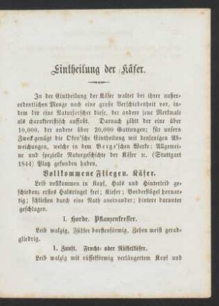 Eintheilung der Käfer.