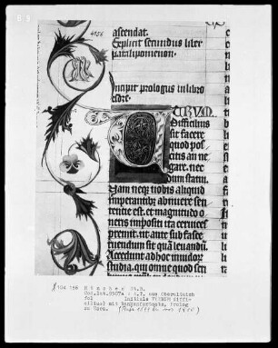 Bibel (Regum - Iob) — Initiale V(ERUM difficilius)