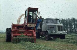 Fotografie: Ernteverfahren, Feldhäcksler selbstfahrend, Grassilage, Parallelverfahren, LKW