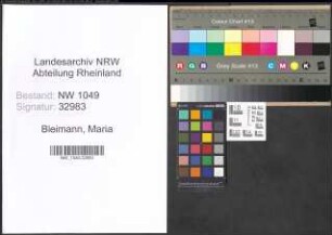 Entnazifizierung Maria Bleimann , geb. 18.06.1909 (Gastwirtin)