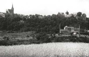 Leisnig, Ortsansicht : Leisnig. Ortsansicht von Nordosten über die Freiberger Mulde mit Stadtkirche St. Matthäus und Schloß Mildenstein
