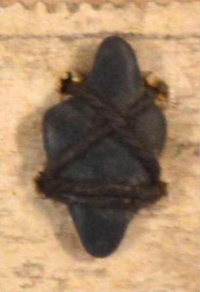 Stone arrowhead