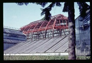 Botan. Garten 23.8.64.