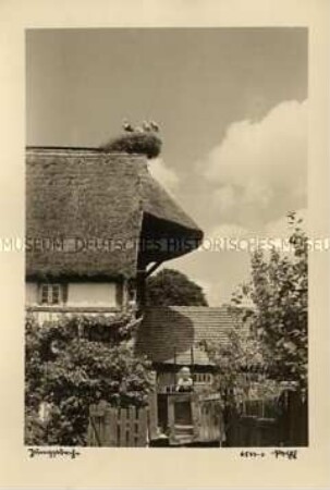 Storchennest auf einem Reetdach