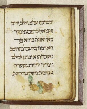 Ei und karpas (grünes Gemüse)