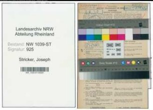 Entnazifizierung Joseph Stricker , geb. 10.01.1899 (Lehrer)
